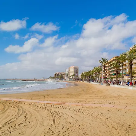 Alegria Id201 Torrevieja